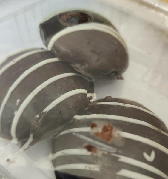 بسكويت مغطى بشكلاته